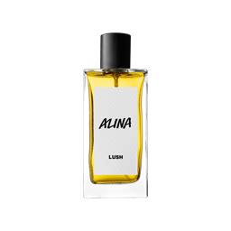 alina parfum|Alina Solid Perfume 